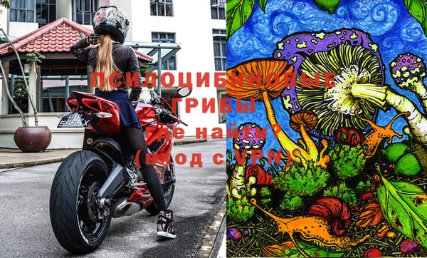 apvp Нея