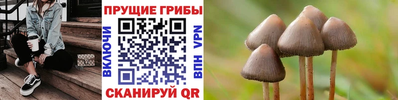 Псилоцибиновые грибы MAGIC MUSHROOMS что такое Майский