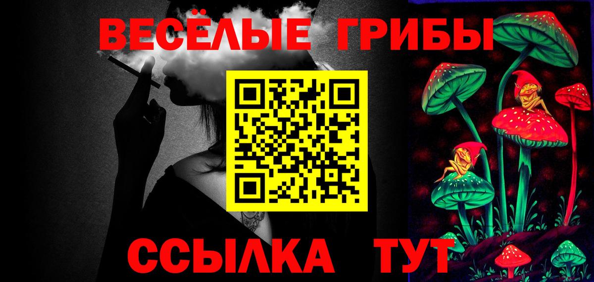 Псилоцибиновые грибы Cubensis Майский