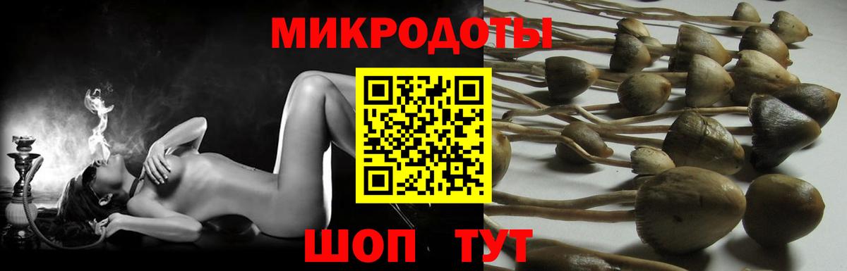Майский  Галлюциногенные грибы Magic Shrooms  Вход с VPN 